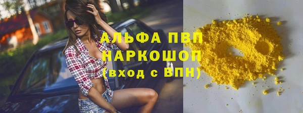 индика Абинск