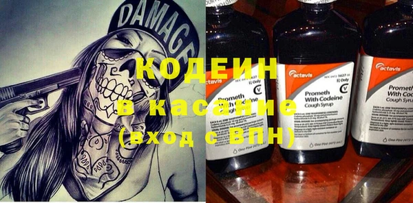 индика Абинск