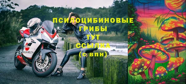 трава Абдулино