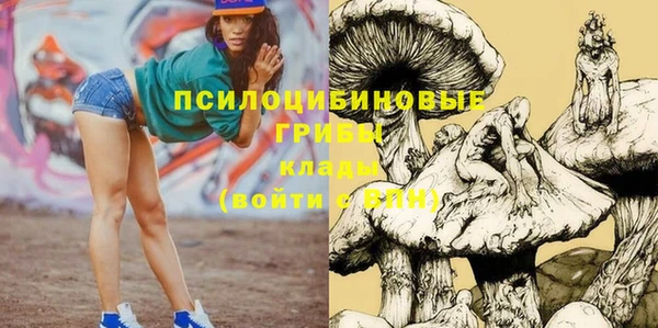 герыч Алексин