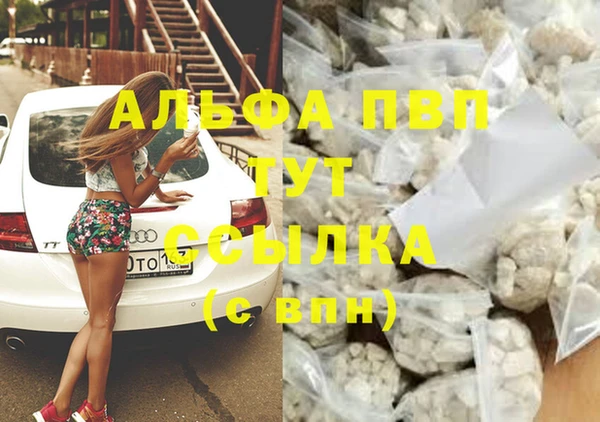 jwh Алзамай