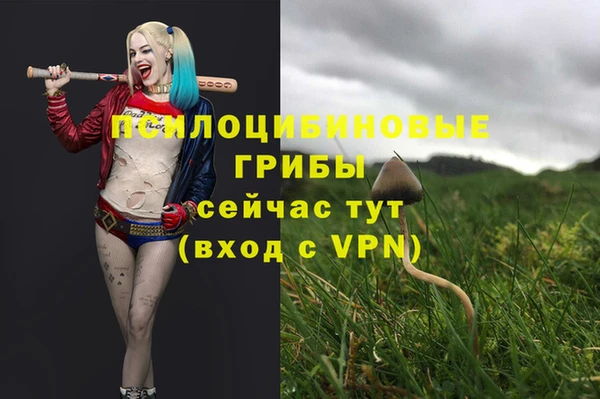 герыч Алексин