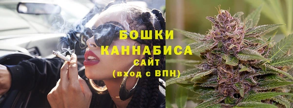 ПСИЛОЦИБИНОВЫЕ ГРИБЫ Няндома