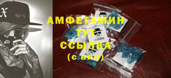 индика Абинск