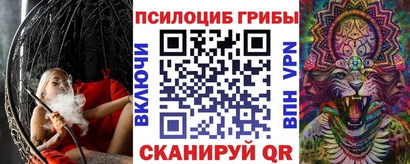 Галлюциногенные грибы Psilocybine cubensis  Братск 